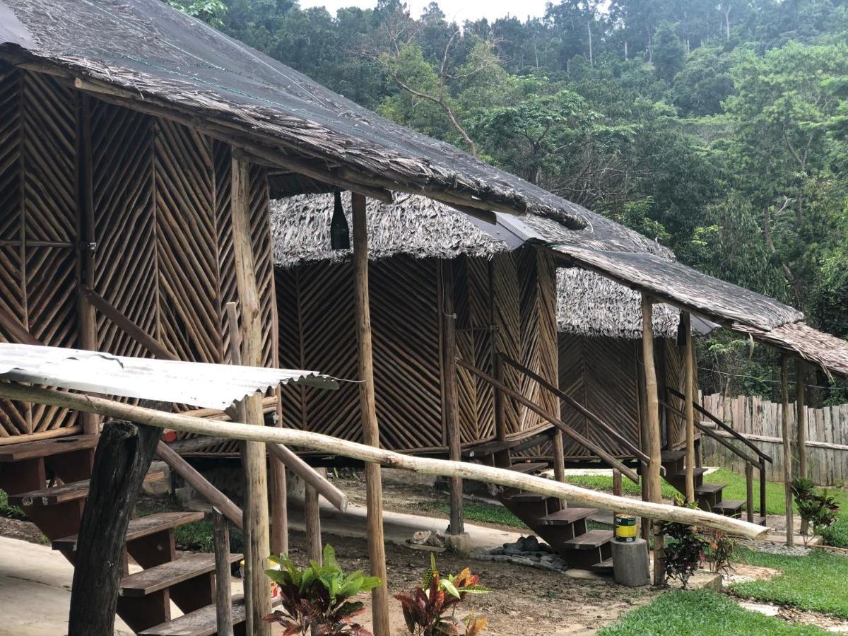 Backpacker'S Hill Resort San Vicente (Palawan) Exterior foto